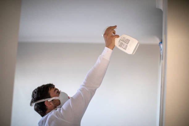 Best White Mold Remediation in Le Sueur, MN