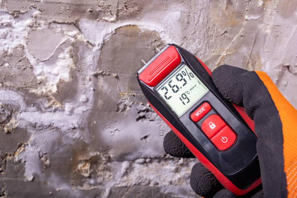 Best Industrial Mold Remediation in Le Sueur, MN