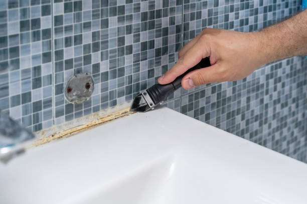 Best Insurance-Related Mold Remediation in Le Sueur, MN